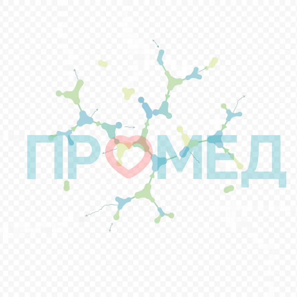 Схематическое изображение гидролизованного коллагенового пептида 