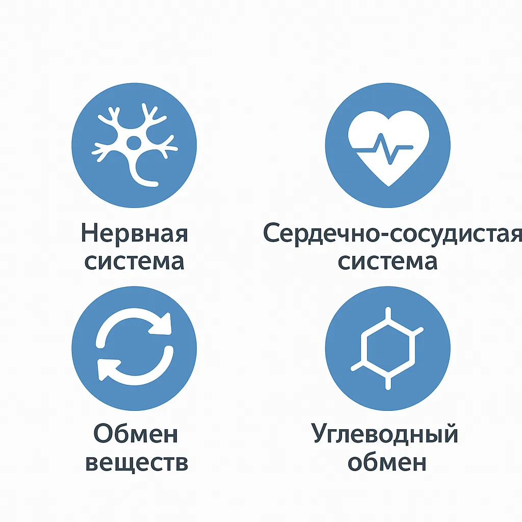 Для чего организму нужен Тиамин Для чего организму нужен Тиамин
